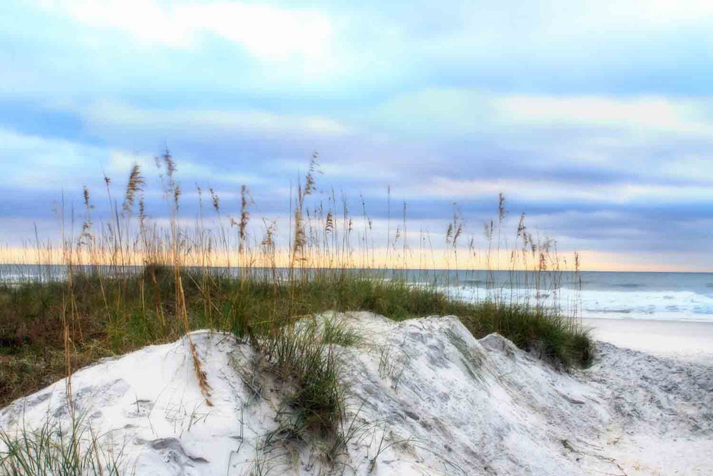 Beach dunes at sunrise