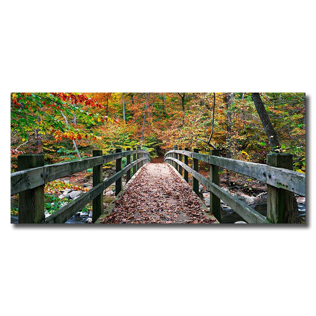 Autumn in Rock Creek Park