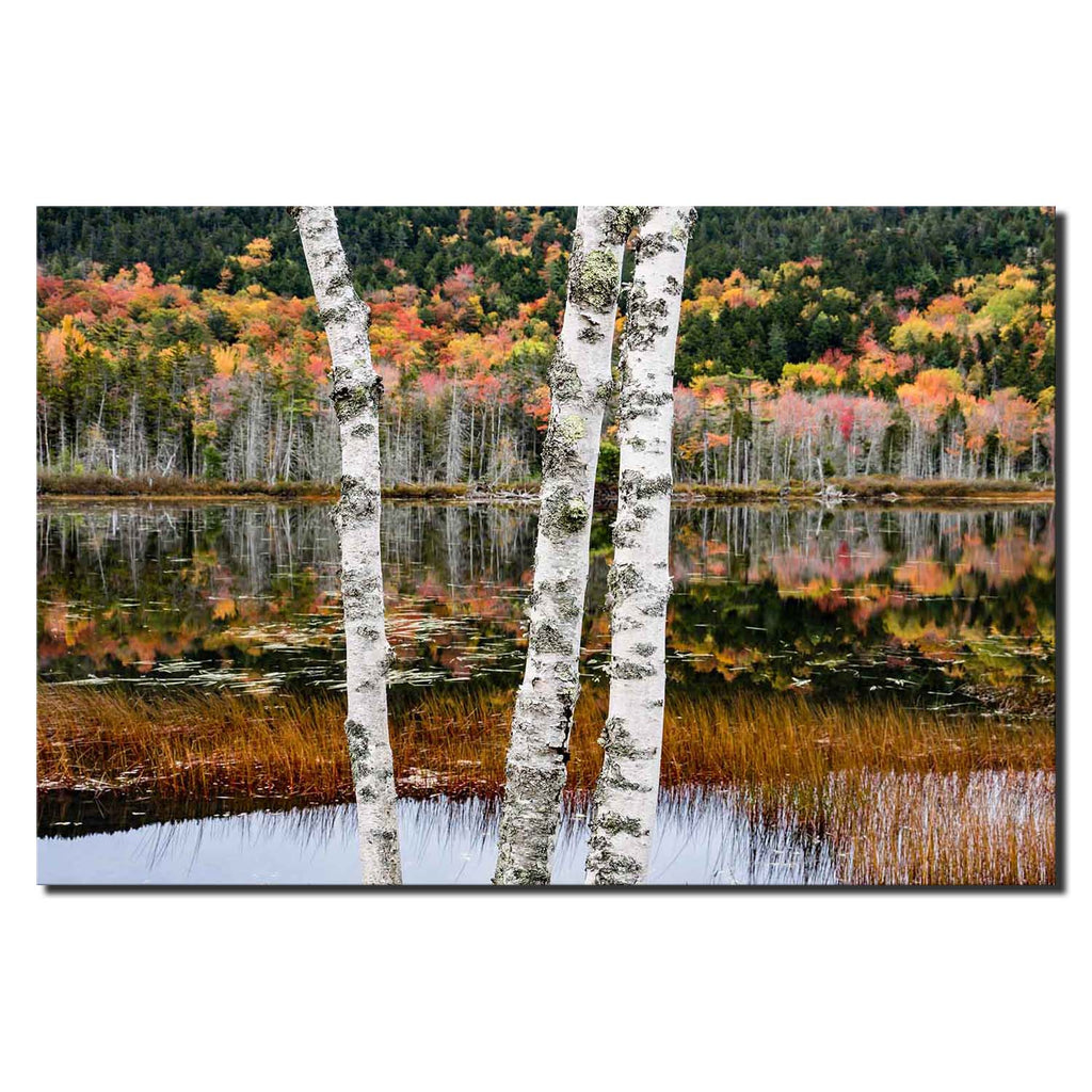 Acadia National Park Pond Fall Foliage