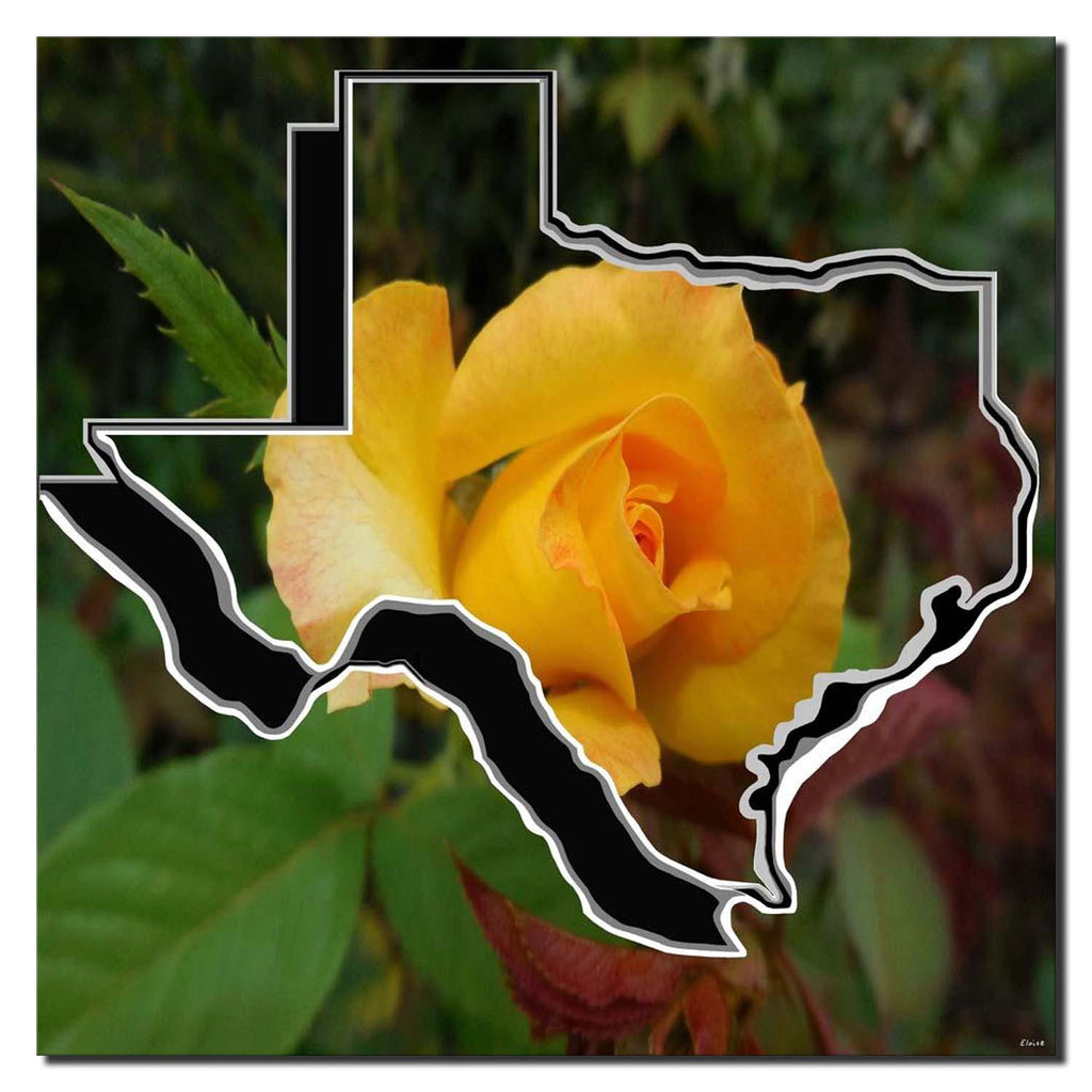 Yellow Rose of Texas with Texas