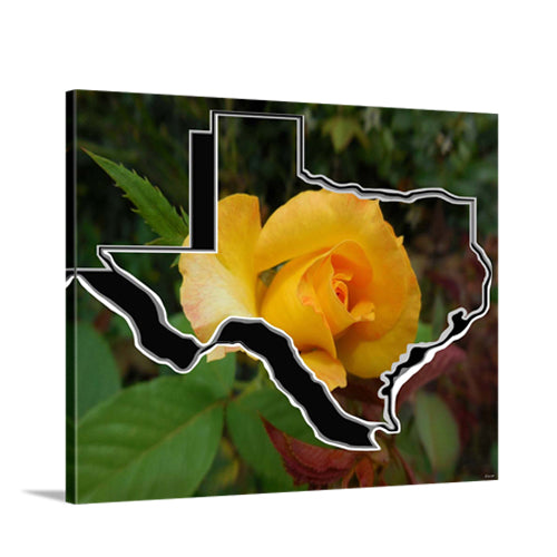 Yellow Rose of Texas with Texas