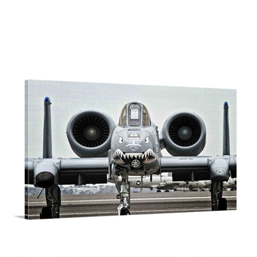 A-10 Warthog Nose
