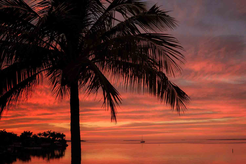 Florida Keys Sunset