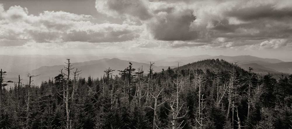 Clingmans Dome - Great Smoky Mountains National Park