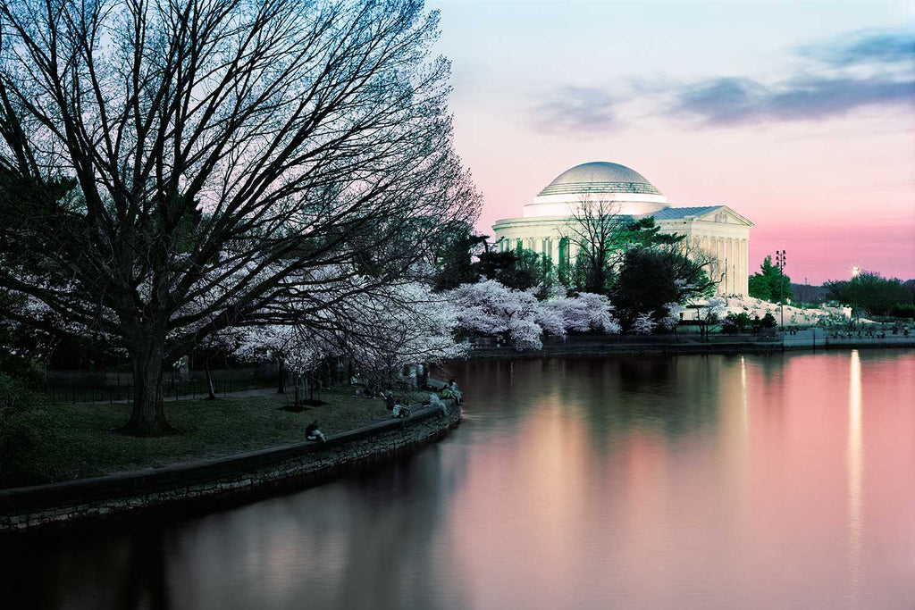 Jefferson Memorial - Cherry Blossoms at Twilight