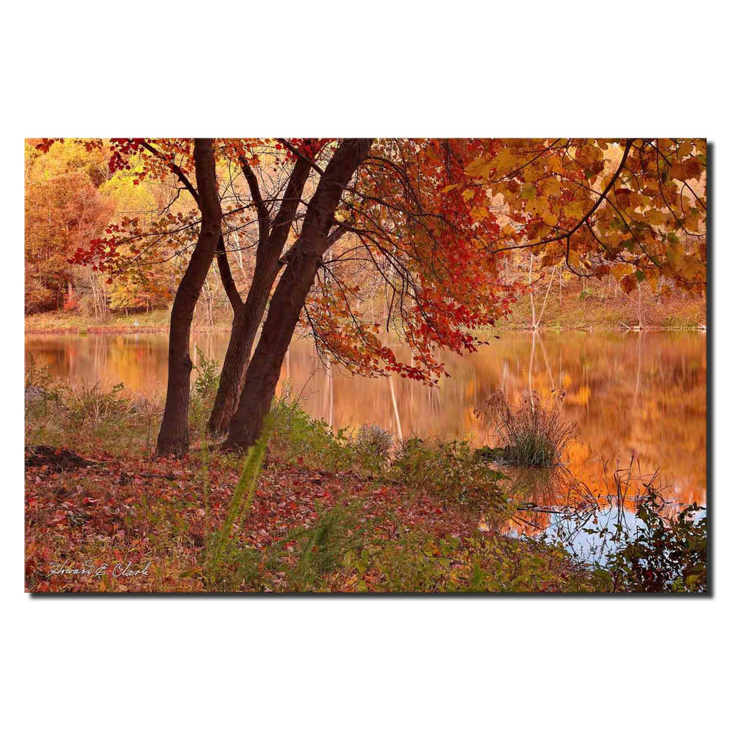 Autumn at Lake Needwood