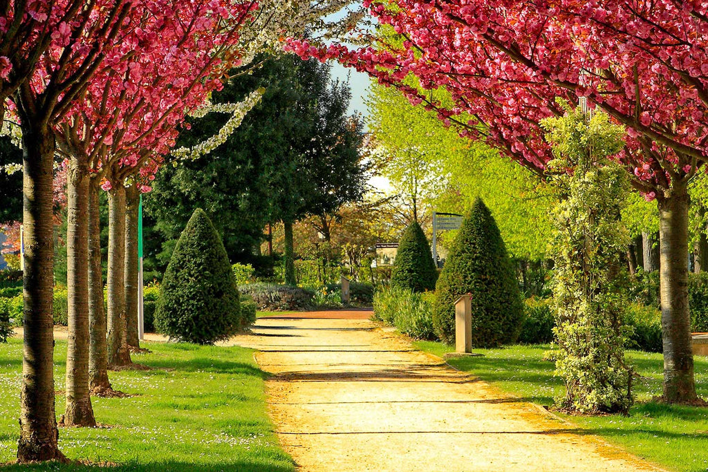 Formal Garden - Roissy-en-France
