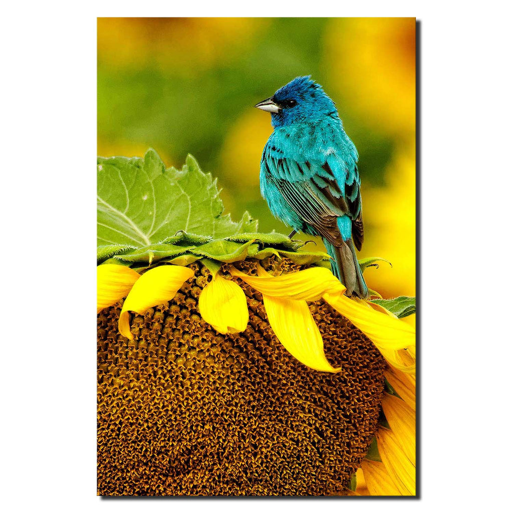 Sunflower with Bird
