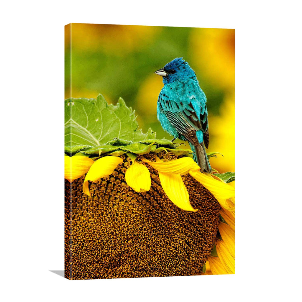 Sunflower with Bird