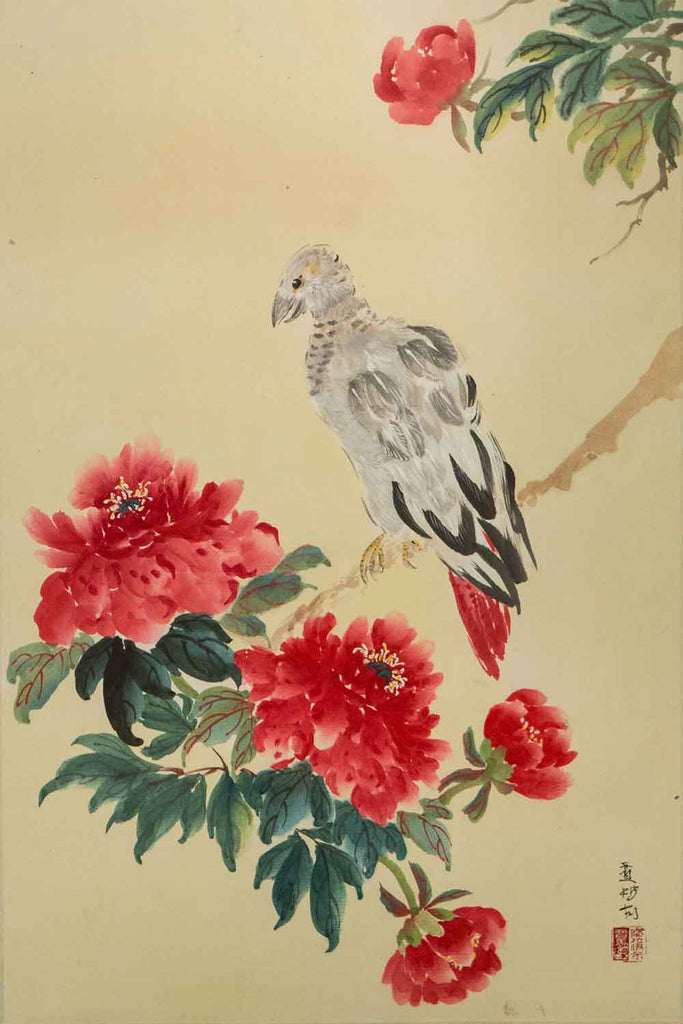African Gray Congo and Peonies