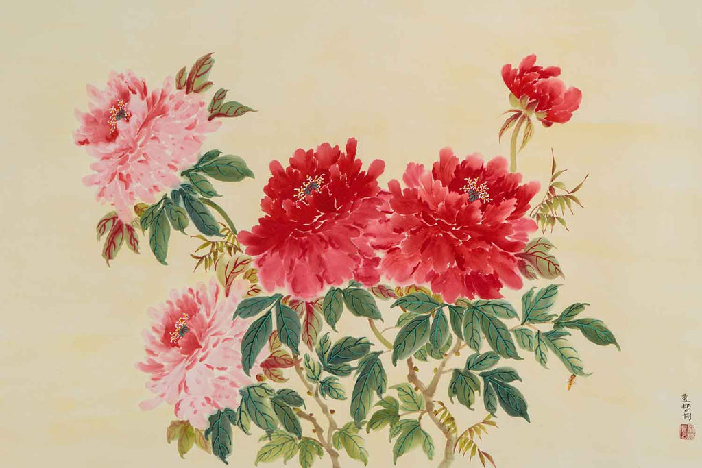 Two Colored Peonies