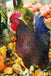 Rooster at the Vegtable Stand