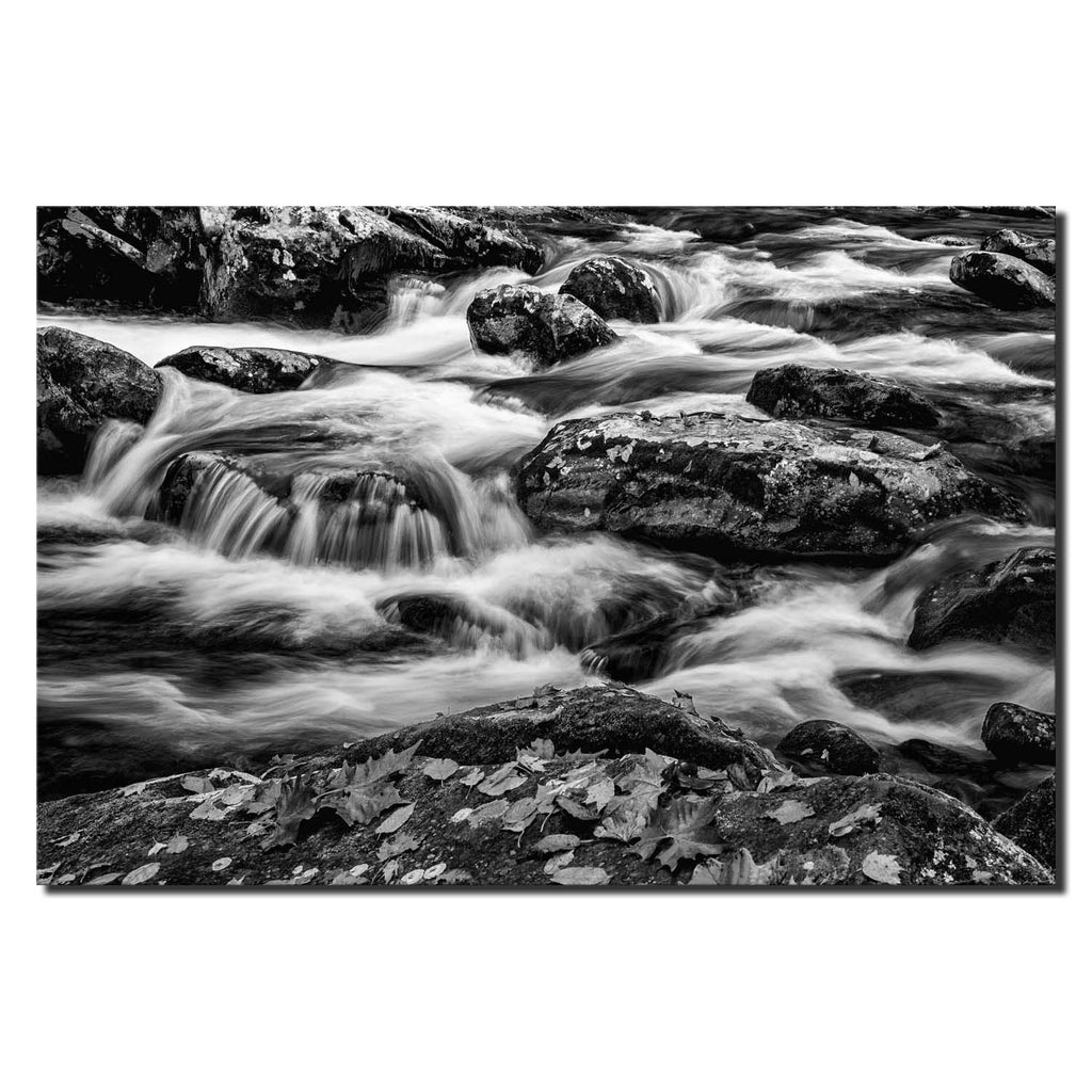 Flowing with Color B&W