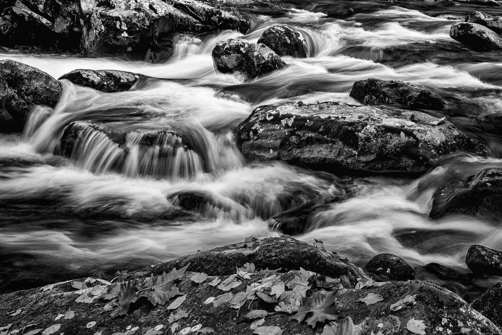 Flowing with Color B&W