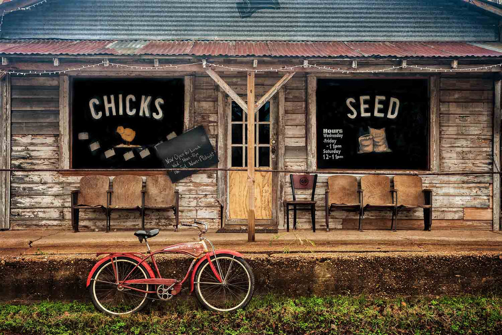 Chicks and Seed