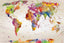 World Map III