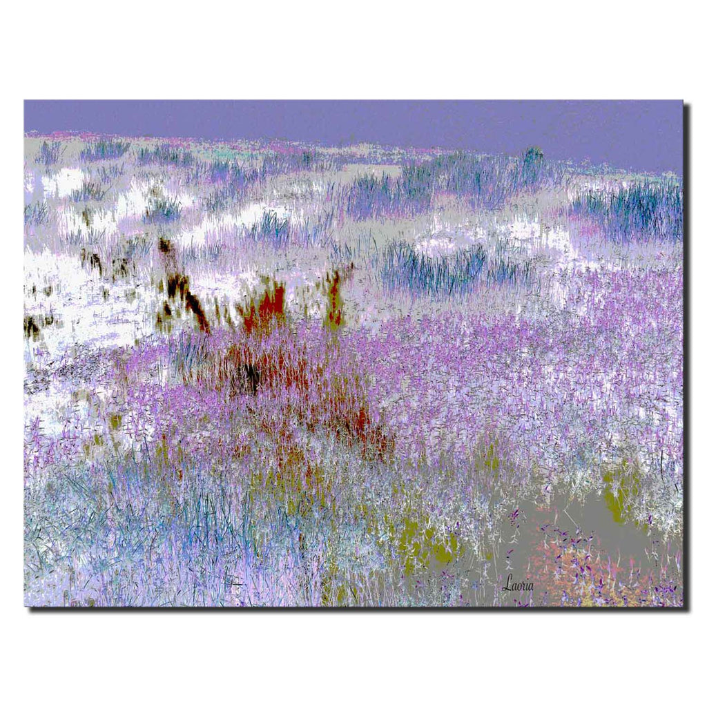 Lavender Valley