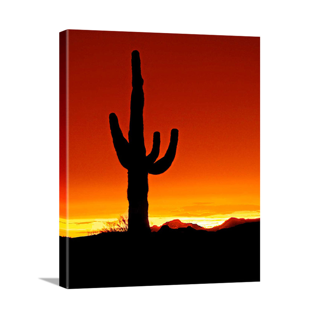US Arizona Red Sunset