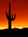 US Arizona Red Sunset