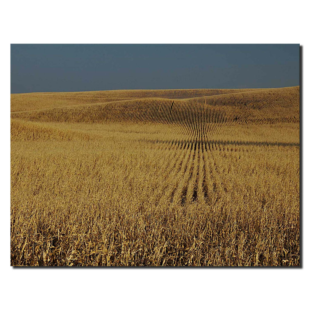 US Great Plains Nebraska Fields