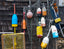 US Massachusetts Colorful Buoys in Rockport
