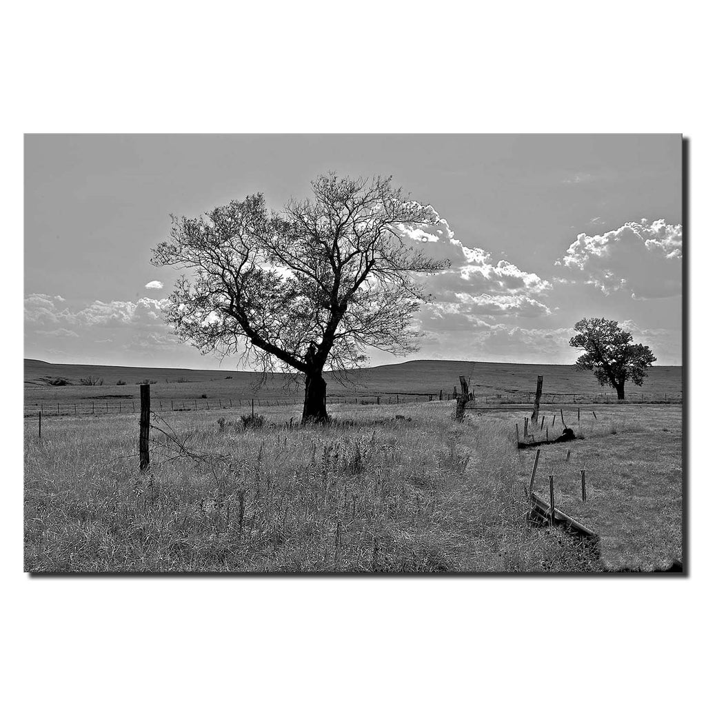 US Kansas Tallgrass Prairie National Preserve Monochrome