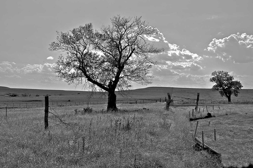 US Kansas Tallgrass Prairie National Preserve Monochrome
