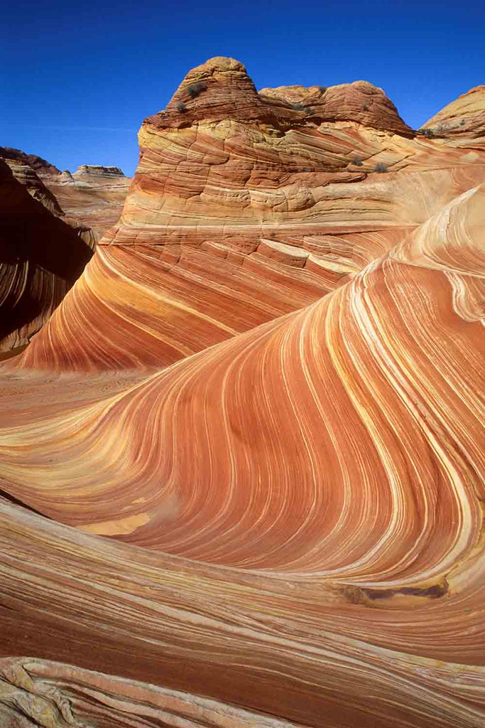 The Wave Coyote Buttes Sandstone Swirls V