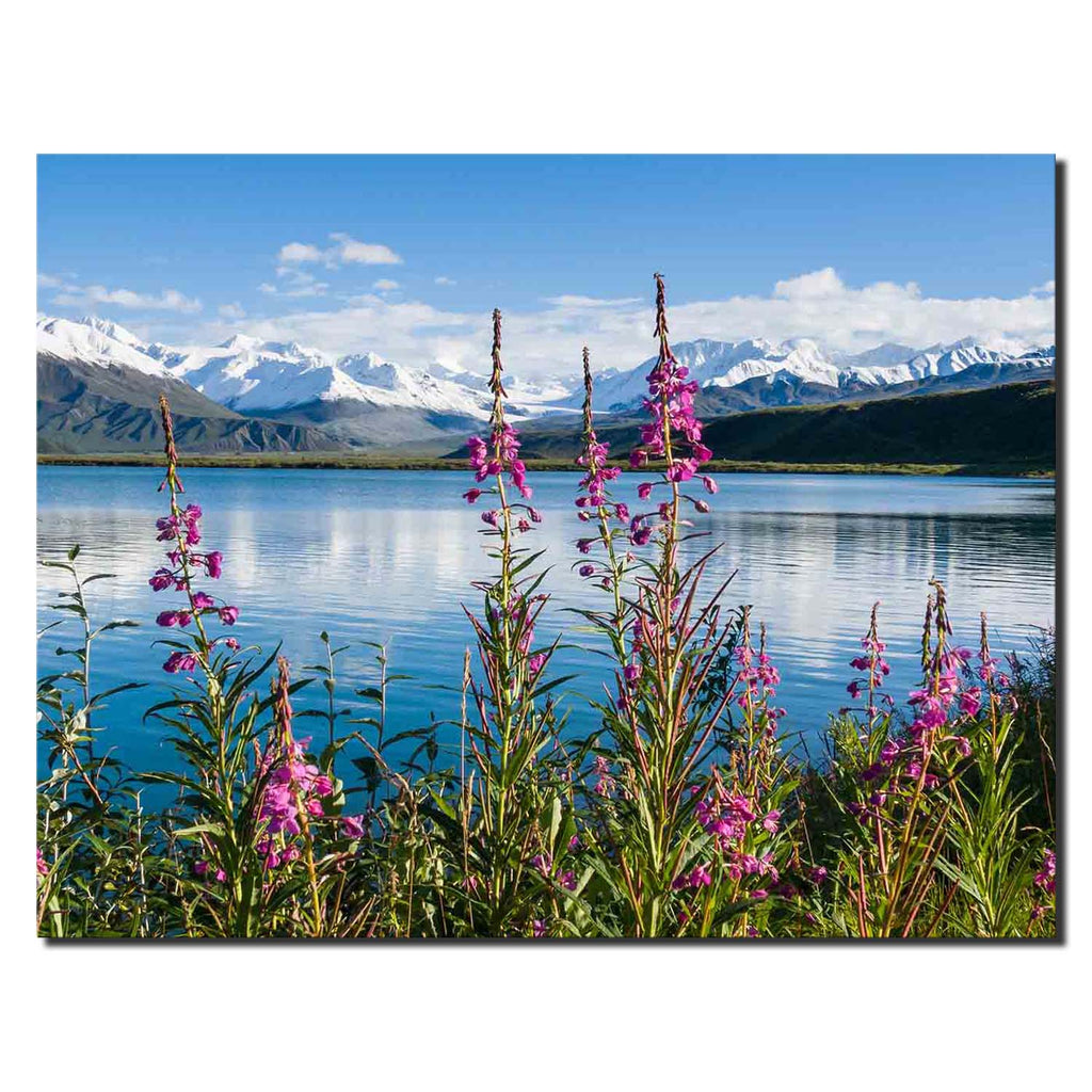 Summit Lake, Alaska Range