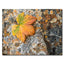 Orange Leaf on Lichen Pattern, Denali State Park Alaska
