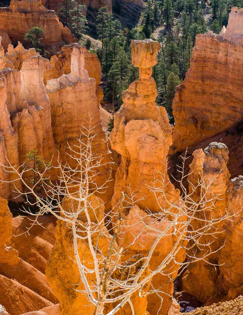 Thors Hammer in Bryce Canyon National Park, Utah
