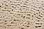 Scalloped Sandy Seaside Abstract