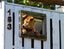Dog Portal in Fence