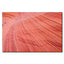 Navajo Sandstone Swirl