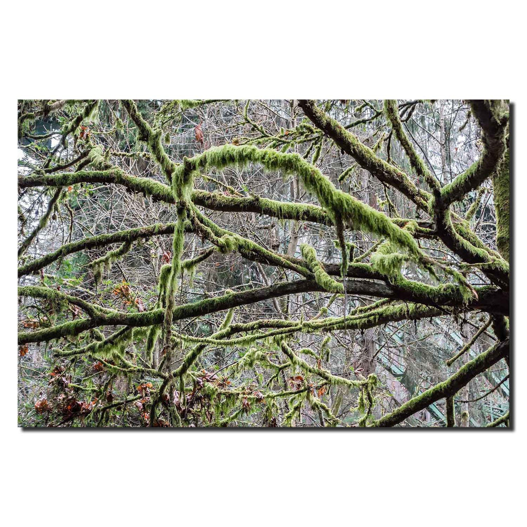 Mossy Tree Branch Pattern