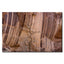 Desert Varnish in Grand Staircase-Escalante National Monument