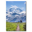 Skyline Divide Trail Hikers Mount Baker