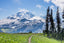 Skyline Divide Trail Mount Baker