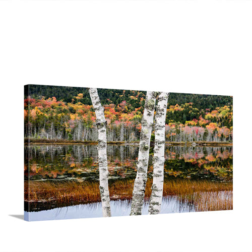 Acadia National Park Pond Fall Foliage