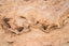 Ancient Navajo Sandstone Humanoid Pattern