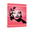 Marilyn Monroe XIII