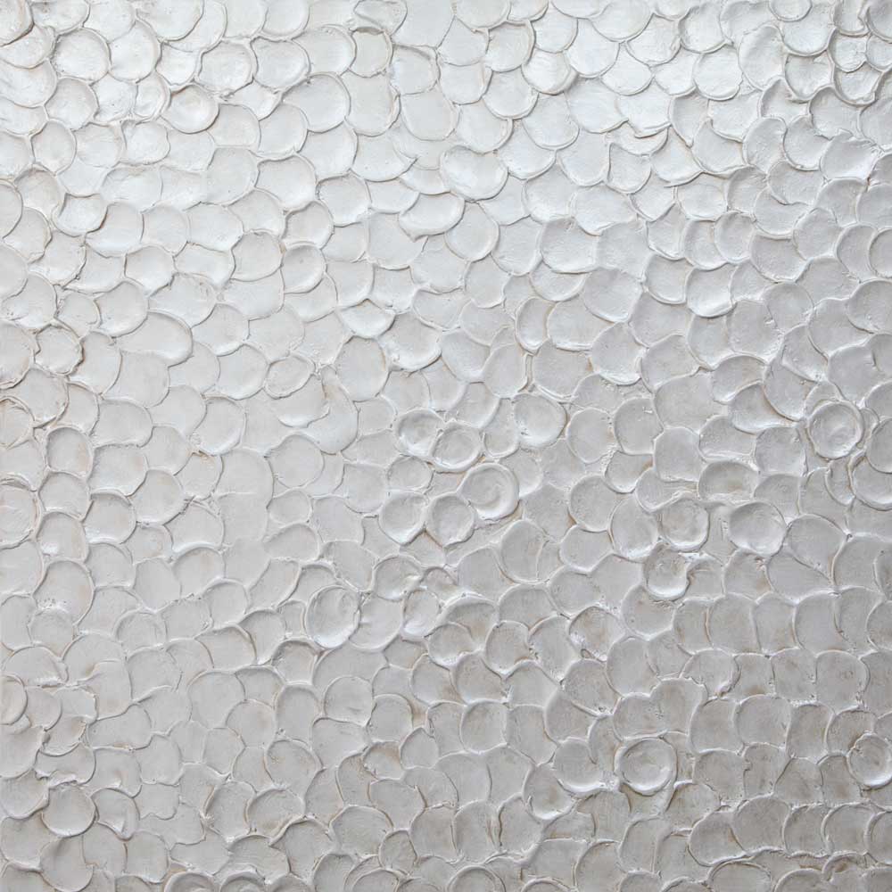 Pearl Shel Texture